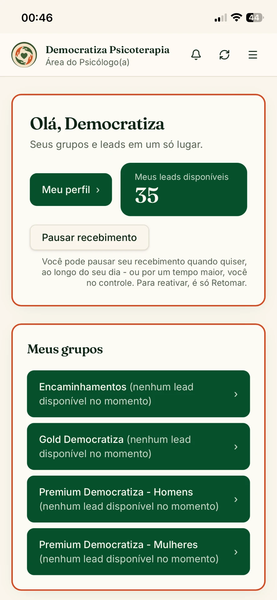 Interface real do aplicativo do Projeto Democratiza Psicoterapia mostrando grupos e leads disponíveis